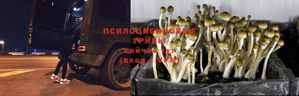 mix Мегион