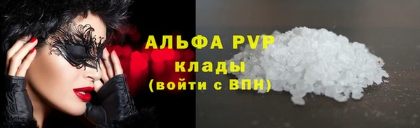 СК Медногорск